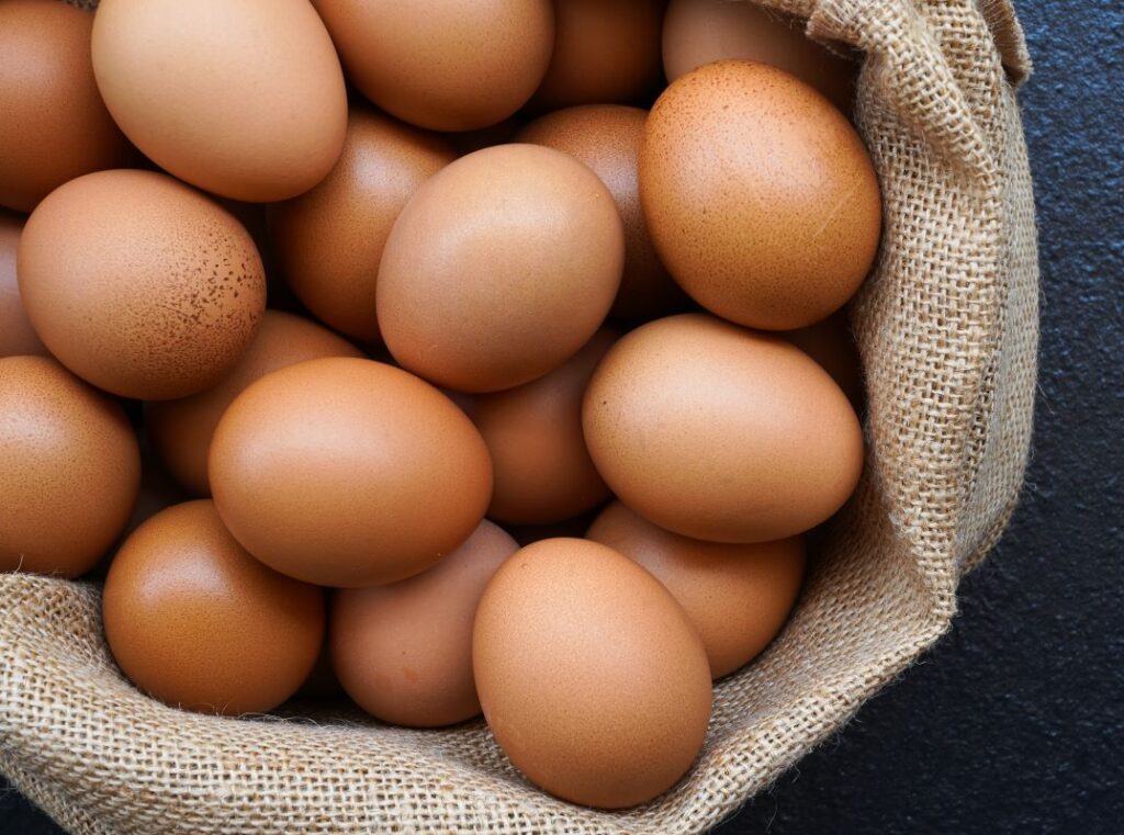 Oeuf de la ferme Saint-Hyacinthe Montérégie